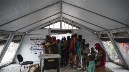 44 die of cholera in Nigeria's militancy-hit northeast: UN