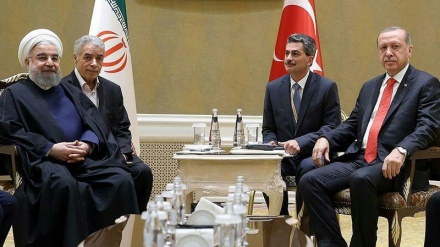 鲁哈尼与埃尔多安就地区最新局势进行磋商