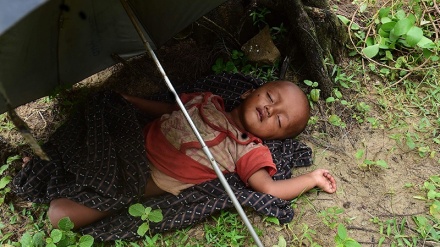 Los daneses se manifiestan contra masacre de musulmanes rohingyas