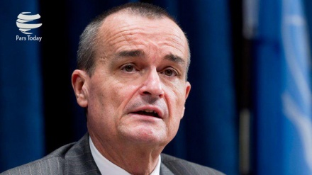 法驻美大使：我们将继续全力执行伊核协议