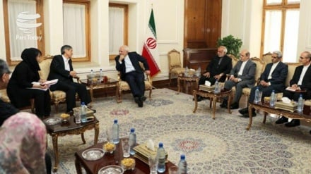 Zarif: İran ve Japonya iyi ortaklar olabilirler