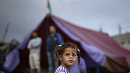 世界の情勢：中東の子供の苦難