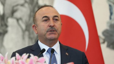 Turchia: 'in Germania e Austria campagne voto populiste'
