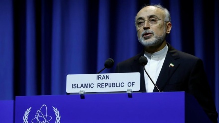 Pentingnya Transparansi Kinerja IAEA dan Pengawasan Pelaksanaan JCPOA