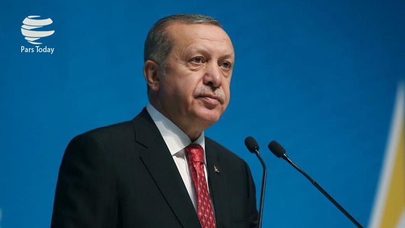 پیام تسلیت رییس جمهوری ترکیه در پی سانحه سقوط هواپیما در ایران 