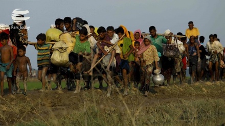 Almost 90,000 Rohingya Muslims arrive in Bangladesh amid crackdown