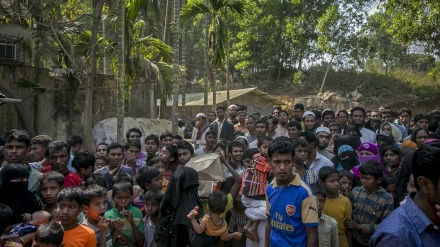 Parlamento Europeu insta Birmânia a pôr fim à violência contra rohingya