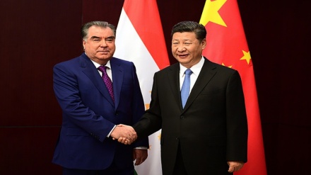 中塔加强双边关系