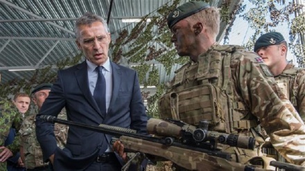 Stoltenberg: Gjeorgjia do t'i bashkohet NATO-s