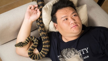 Пекин халқининг ғалати ва ажойиб уй ҳайвонлари.(СУРАТЛАР) 