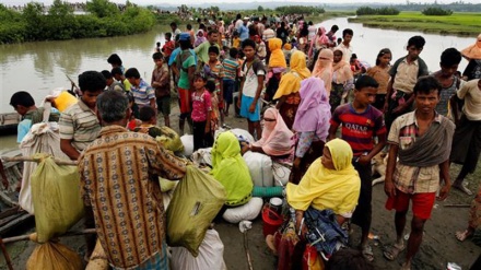 Some 164,000 Rohingya refugees fled fresh violence in Myanmar: UN