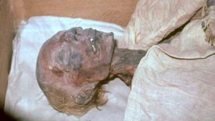 Устоди “Ал-Азҳар”-и Миср: Фиръавни замони ҳазрати Мӯсо эронӣ будааст ! ?