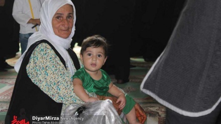 Tolışədə şıtəhə hırdənon mərosim