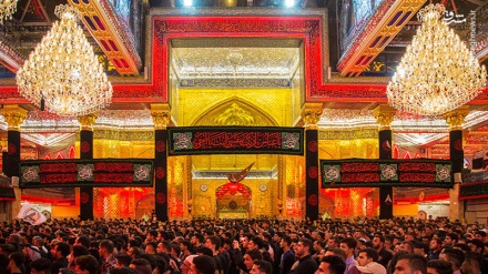 Ceremonia e zimbajtjes për Imam Husejnin (a.s.) në Qerbela (1)