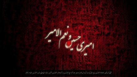 د حضرت امام حسین (ع) او کربلا د شهیدانو په یاد کې پښتو مرثیه دلته لیدلې او اوریدلې شئ