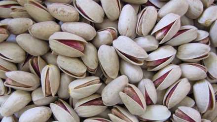 Iran Ekspor Kacang Pistachio ke 75 Negara Dunia
