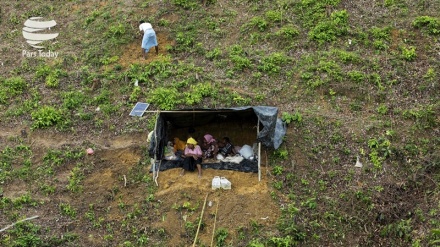 Fotos: Genocidio de Rohingyas en Myanmar(II)