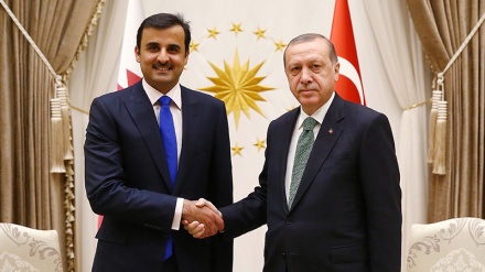 Türkiye Cumhurbaşkanı Erdoğan, Katar Emiri ile görüştü