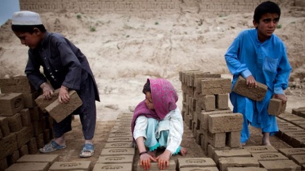 Një e dhjeta e fëmijëve në botë, viktimë e punës së detyruar