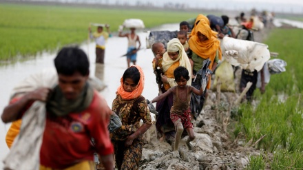 Mais de 123 mil rohingyas cruzaram a fronteira com o Bangladesh