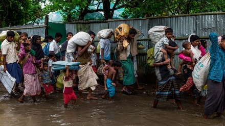 Ushtria e Mianmarit fillon sulmet e egra për të penguar kthimin e myslimanëve Rohingia në vendbanimet e tyre