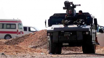 Egyptian forces kill 13 in raid on militant hideout: Ministry