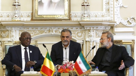 Larijani: Upo ulazima wa kuimarishwa uhusiano kati ya Iran na nchi za Kiafrika