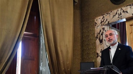 Iran will show proper reaction if JCPOA violated: Salehi