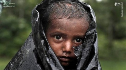 El grito olvidado de los Rohingyas