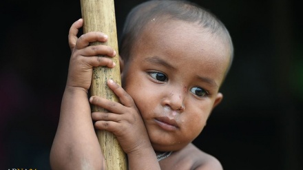 Rrëfimi i dhimbshëm i një gazetari gjerman rreth gjendjes së myslimanëve Rohingia