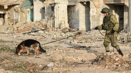 EEUU obliga a Serbia a no ayudar a Siria en proceso de desminado