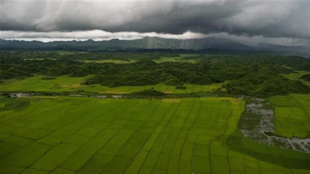 ミャンマー政府が、同国のロヒンギャ族の農産物を没収