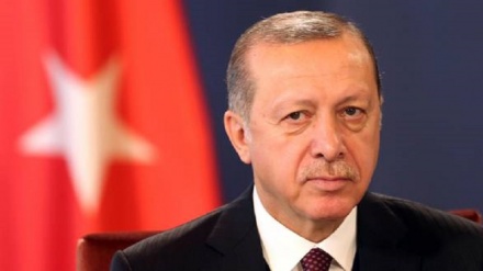 Erdogan, Ue ci faccia entrare