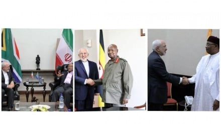 Zarif termina a turnê Africana