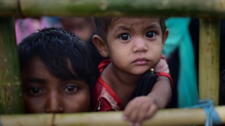 सामूहिक बलात्कार का निशाना बनने वाली रोहिंग्या महिलाओं के शरीर पर हैं गहरे घाव