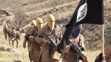 Relatório: 5600 terroristas de Daesh têm regressado a seus países 