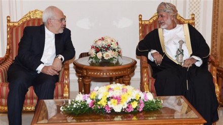 P5+1 group, EU believe JCPOA non-negotiable: Zarif