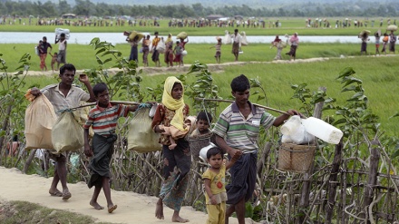 430 milion dollarë për tu dhënë ndihmë myslimanëve Rohingya