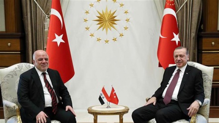 Abadi takon Erdoganin, tema kryesore Kurdistani