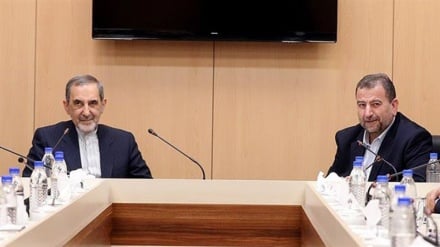 Iran will accept no conditions attached to JCPOA: Velayati