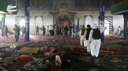 欧盟对喀布尔恐怖袭击做出反应