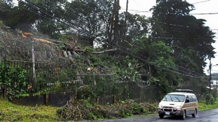 Tempesta tropicale Nate potrebbe colpire Usa come uragano