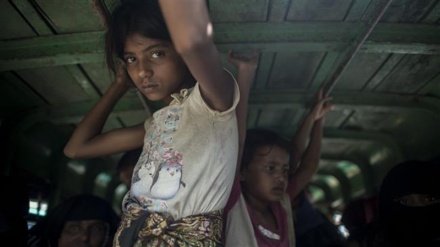HRW says Myanmar army raping and executing Rohingya Muslims 