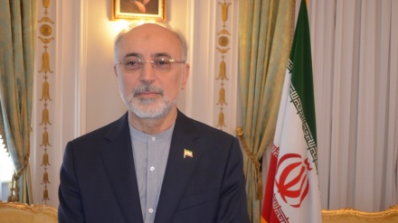 chefe nuclear do Irã: JCPOA não renegociável