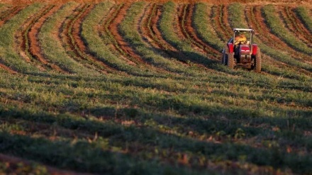 Agropecuária produz riqueza recorde para o Brasil em 2017