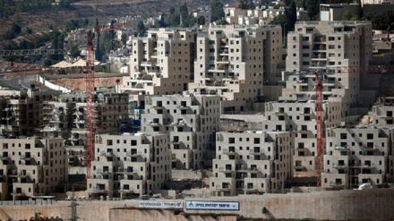 国連特別調整官、イスラエルの入植地建設を批判