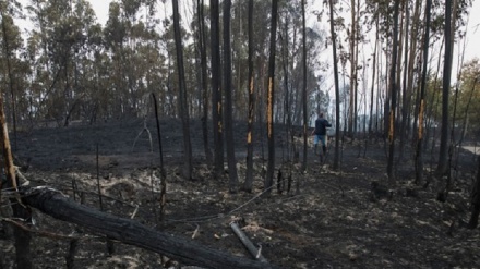 Portogallo, bilancio sale a 35 morti