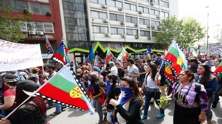 ONU alerta de violaciones sistemáticas contra mapuches en Chile