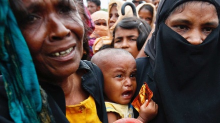 Vasta campanha de vacinação contra a cólera em acampamentos de rohingyas