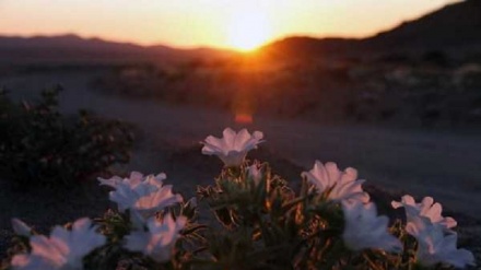 (FOTO DEL GIORNO) La bellezza di natura
